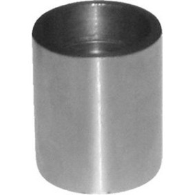 Comprar Polea de inversión y guía, correa de distribución de MAGNETI MARELLI 331316170192 a bajo precio de 43,24 €