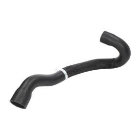 Ansaugschlauch, Luftfilter DCC018TT von THERMOTEC günstig für 47,06 € online kaufen
