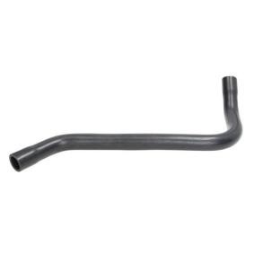 Comprar Tubo flexible de aspiración, filtro de aire de THERMOTEC DCG098TT a bajo precio de 12,95 €