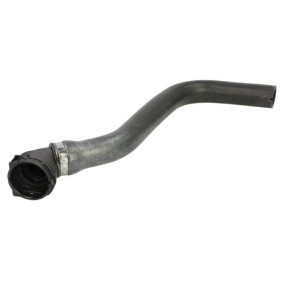 Kühlerschlauch DWF064TT