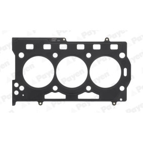 Comprar Junta de culata de PAYEN AF5990 a bajo precio de 22,66 €