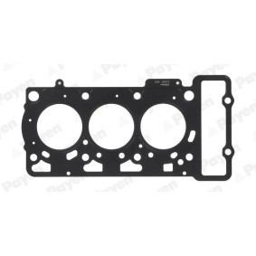 Comprar Junta de culata de PAYEN AC5660 a bajo precio de 26,85 €