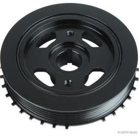 Achetez des Poulie damper (vilebrequin) HERTH+BUSS JAKOPARTS J1093000 à prix pour 132,05 €