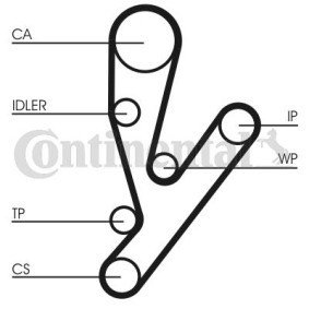 Acquista Kit cinghia distribuzione, pompa acqua da CONTITECH CT1148WP1 a buon mercato per soli 239,42 €