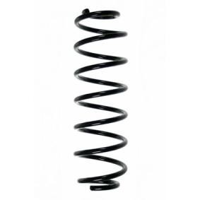 Achetez des Ressort de suspension SPIDAN 85706 à prix pour 43,53 €
