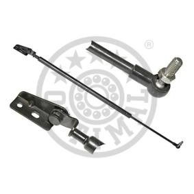 Heckklappendämpfer AG-17431