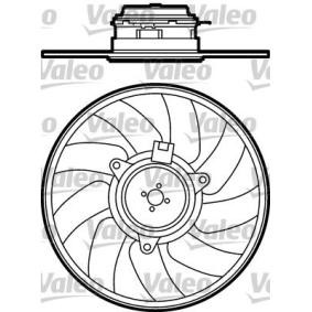 Sekundärluftfilter des Herstellers VALEO - Originalware Artikelnummer: 696079