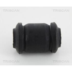Acquista Supporto braccio oscillante da TRISCAN 8500 13818 a buon mercato per soli 7,13 €