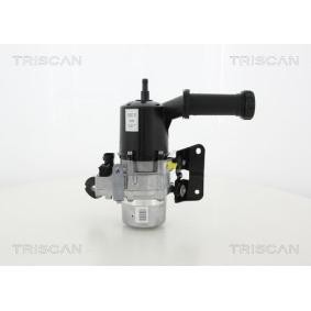 Servopumpe von TRISCAN