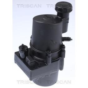 Servopumpe von TRISCAN