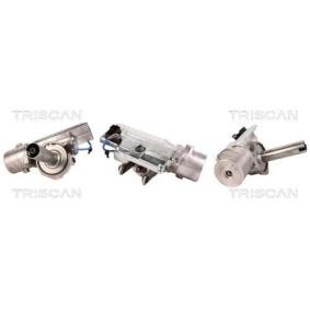 Acquista Piantone sterzo + servosterzo elettrico da TRISCAN 8520 15711 a buon mercato per soli 518,01 €