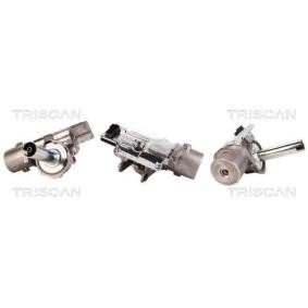 Acquista Piantone sterzo + servosterzo elettrico da TRISCAN 8520 15712 a buon mercato per soli 506,21 €