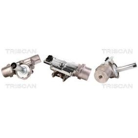 Acquista Piantone sterzo + servosterzo elettrico da TRISCAN 8520 15714 a buon mercato per soli 509,66 €