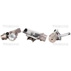 Acquista Piantone sterzo + servosterzo elettrico da TRISCAN 8520 15715 a buon mercato per soli 567,14 €