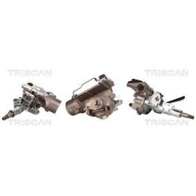 Acquista Piantone sterzo + servosterzo elettrico da TRISCAN 8520 15720 a buon mercato per soli 533,99 €