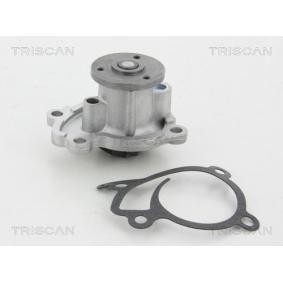 Achetez des Pompe à eau TRISCAN 8600 10073 à prix pour 37,37 €