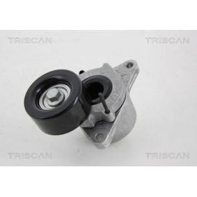 Spannrolle, Keilrippenriemen 8641 143002
