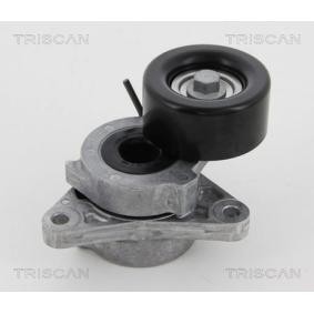 Compre Rolo tensor, correia trapezoidal estriada da TRISCAN 8641 143003 a um preço baixo por 247,03 €