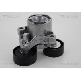 Compre Rolo tensor, correia trapezoidal estriada de TRISCAN online para D5 Touring (F11) a preços moderados