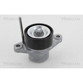 Compre Tensor, correia trapezoidal estriada da TRISCAN 8641 253010 a um preço baixo por 68,54 €