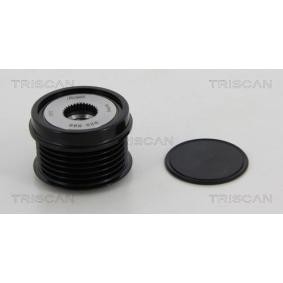 Generatorfreilauf für FORD von TRISCAN