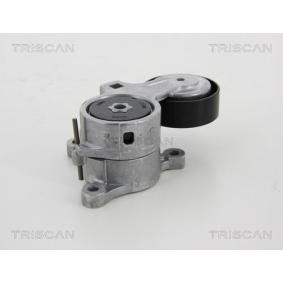 Compre Tensor, correia trapezoidal estriada da TRISCAN 8641 283008 a um preço baixo por 107,40 €
