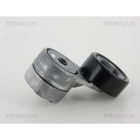 Compre Tensor da correia do alternador de TRISCAN online para Cerato Hatchback (YD) a preços moderados