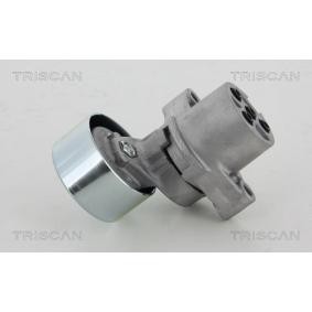 Comprar Polea tensora, correa poli V de TRISCAN 8641 503006 a bajo precio de 252,47 €
