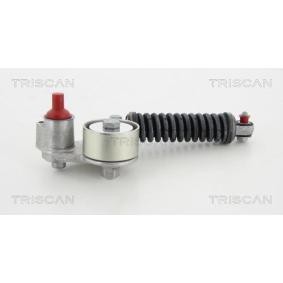 Comprar Polea tensora, correa poli V de TRISCAN 8641 693001 a bajo precio de 328,01 €