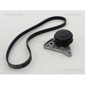 Achetez des Jeu de courroies trapézoïdales à nervures TRISCAN 8642 29014 à prix pour 63,35 €