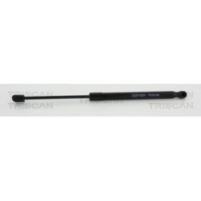 Heckklappendämpfer 8710 23242