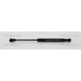 Gasfeder, Verdeck 8710 38242
