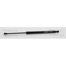 Compre Maletero de TRISCAN online para CX-9 (TB) a precios moderados
