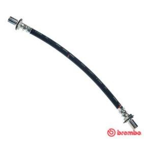 Osta BREMBO Jarruletku netistä Dyna Flatbed Kuorma-auto / Alusta (_U_, _Y_)-mallille edulliseen hintaan