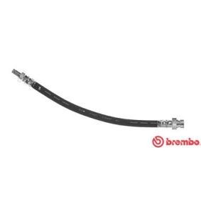 Bremsschlauch T 54 040