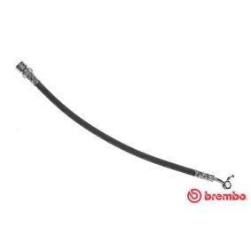 Bremsschlauch T 15 015 von BREMBO günstig für 34,20 € online kaufen