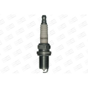 Zündkerze OE134/T10