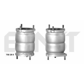 Acquista Catalizzatore da ERNST 750288 a buon mercato per soli 384,45 €