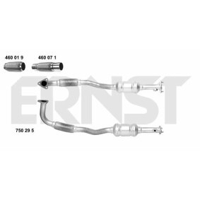 Acquista Catalizzatore da ERNST 750295 a buon mercato per soli 323,50 €