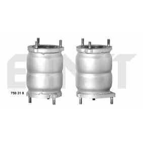 Acquista Catalizzatore da ERNST 750318 a buon mercato per soli 314,24 €