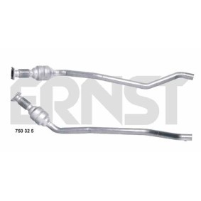 Acquista Catalizzatore da ERNST 750325 a buon mercato per soli 791,11 €