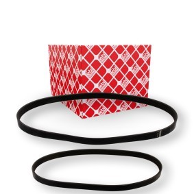 Compre Jogo de correias trapezoidais estriadas da FEBI BILSTEIN 40859 a um preço baixo por 33,01 €