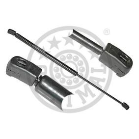 Heckklappendämpfer AG-17251