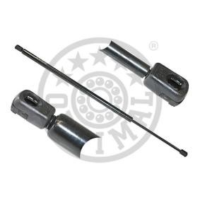 Heckklappendämpfer AG-17487