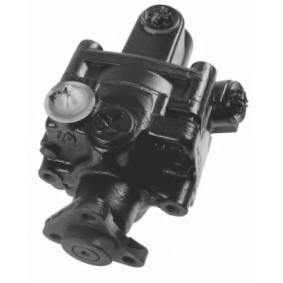 Servopumpe von ZF LENKSYSTEME