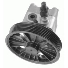 Servopumpe 8001 601 für S60 I (384) für 329,24 CHF