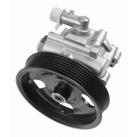 Servopumpe 8001 842 für 159 (939) für 274,31 CHF