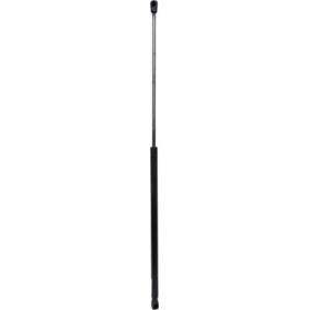 Compre Mola pneumática, capot do motor da DIEDERICHS 9101700 a um preço baixo por 17,73 €