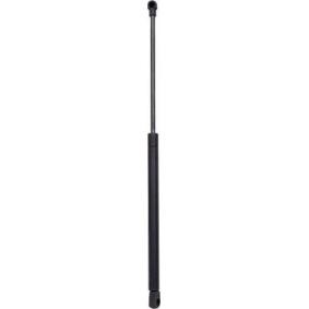 Compre Mola pneumática, capot do motor da DIEDERICHS 9107500 a um preço baixo por 35,92 €