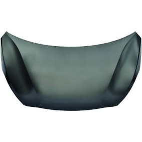 Motorhaube 6806100